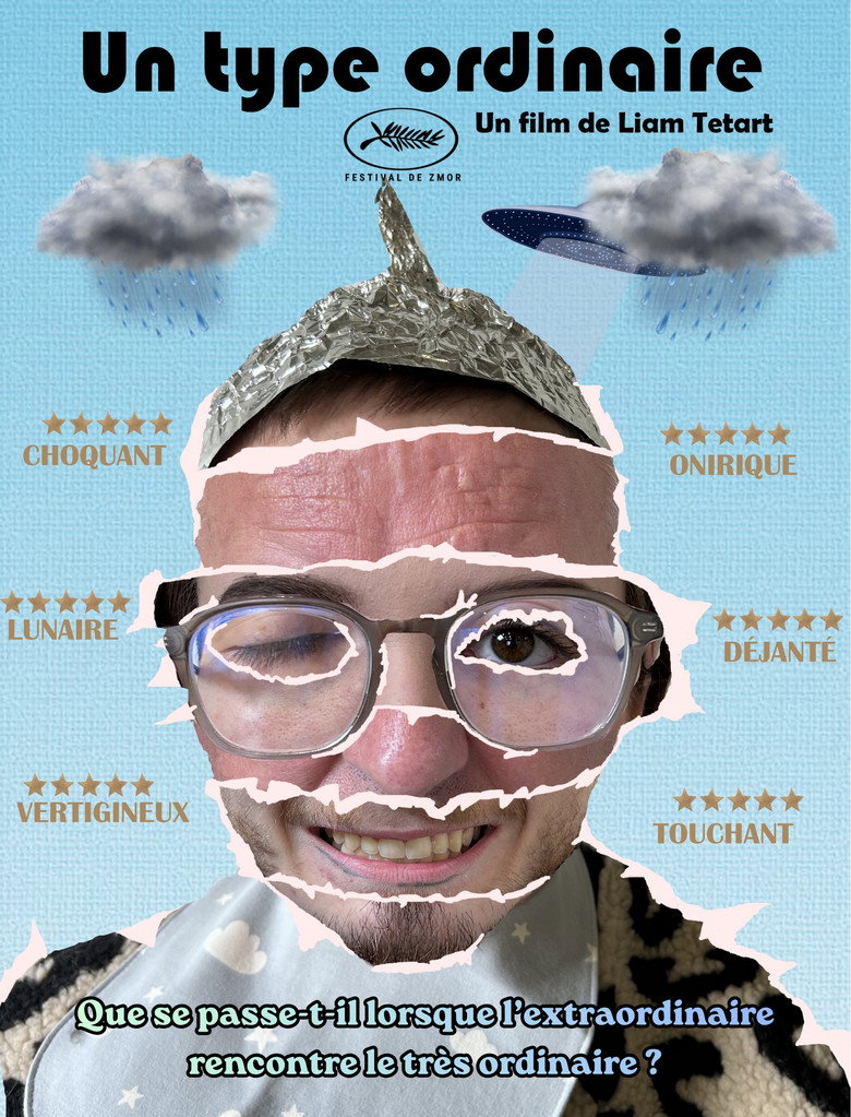 Affiche Un type ordinaire